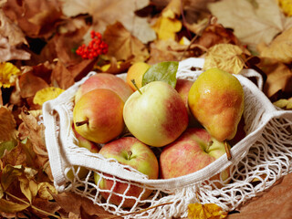 autumn background with apples, pears, leaves and eco bag