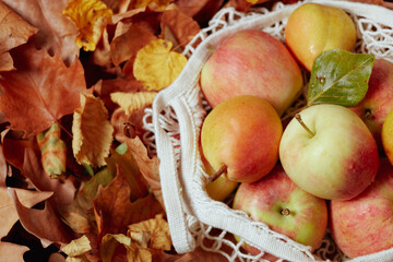 Naklejka na ściany i meble autumn flat lay with apples, pears, leaves and eco bag