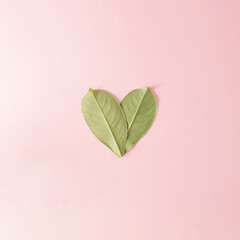 Fototapeta na wymiar Two green leaves from the back in a heart shape on bright pink background. Flat lay