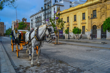 Fototapeta na wymiar 27.05.2023, Seville, Spain:One of the entertainments in the city is horse-drawn carriages. Under the style of the city, the color of the wagon is changed to yellow.