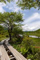 Fototapeta na wymiar wetlands in Japan mountains