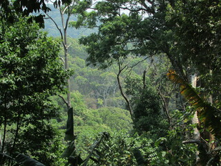 Chiang Dao National Park and jungles