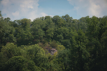 Obraz na płótnie Canvas Forest Ridge at Castlewood State Park in Missouri