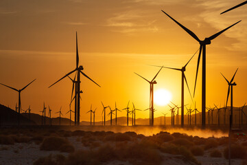windmills
