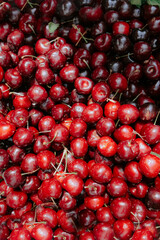 Fresh cherries on sale on a green market