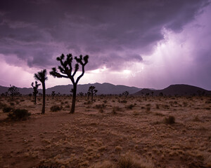 lightning in the desert