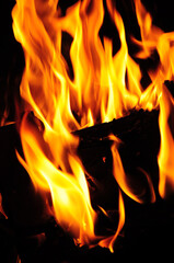 Fire, flame, flames on a black background.