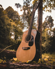 guitar (12th String) in the woods