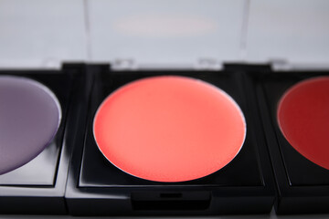 Closeup view of cream lipstick palette refills. Professional cosmetic product