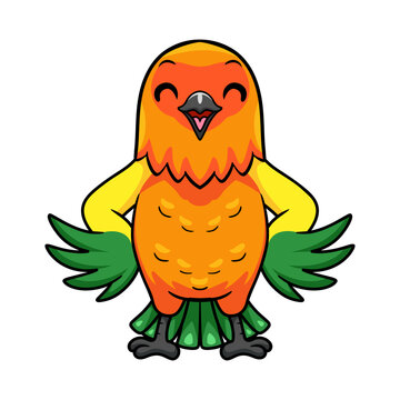 Cute sun conure parrot cartoon