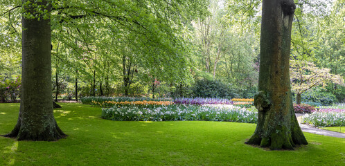 Panoramic view of scenic world famous Keukenhof gardens in Netherlands .