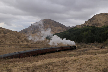 Highland's Train
