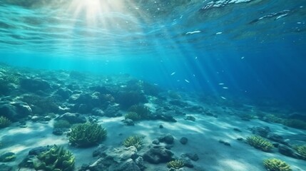 Fototapeta na wymiar A sandy ocean floor seen from underwater perspective