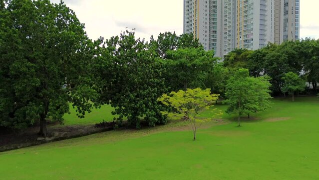 Parque Omar - Panama City - Skyline