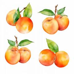 Watercolor image capturing the essence of an apricot.