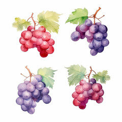 Fototapeta premium Watercolor image of grapes.