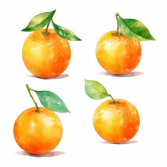 Watercolor image of an orange fruit.