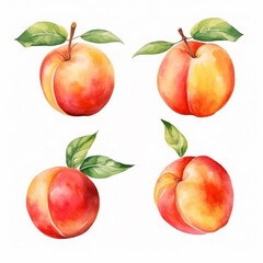 Watercolor illustration capturing the beauty of a peach.