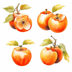 Vibrant watercolor painting capturing the essence of a persimmon.