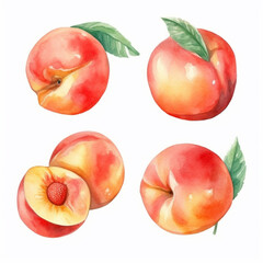 Peachy watercolor image with a touch of sweetness.