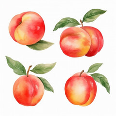 Gorgeous watercolor portrayal of a ripe peach.