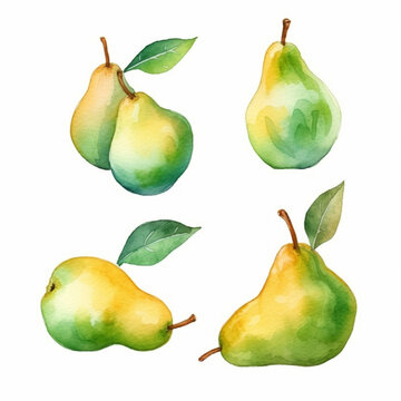 Watercolor illustration highlighting the unique shape of a pear.
