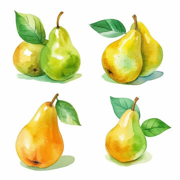 Watercolor image showcasing the natural beauty of a pear.