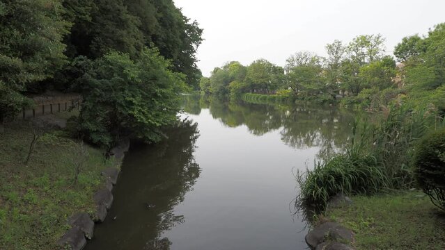 じゅん菜池緑地　2023年6月