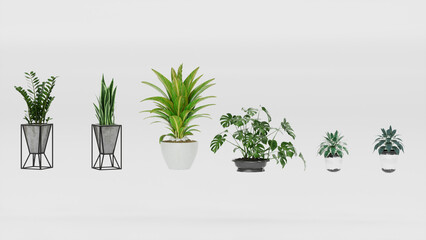 Set of plants in a pot, 3d render