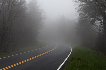 Fototapeta premium Fog on the Clingmans Dome road in the Great Smoky Mountains NP
