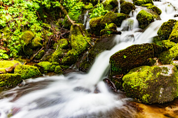 Waterfall cascading over the rocks in the Great Smoky Mountains NP