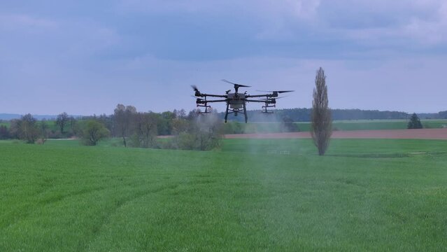 Professional Agriculture Drone Flying and Spraying Fertilizer Over Green Farming Field