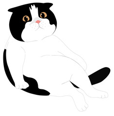 Fat cat cartoon vector illustration design