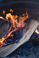 Burning Log in a Campfire