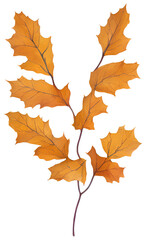 Naklejka na ściany i meble Watercolor autumn leaf.