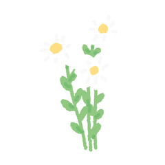daisy doodle flower