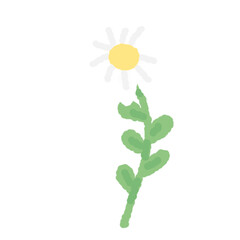 daisy doodle flower
