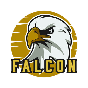 Falcon head mascot logo