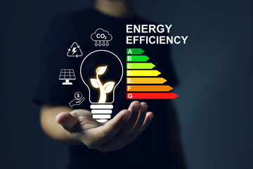 A man holds an electric light bulb with tree inside and energy saving rating sign to tell customer the value of the products to make decision. Energy saving and zero co2 clean energy concept.