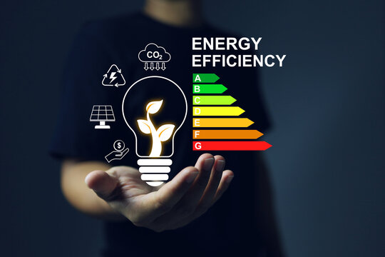 A man holds an electric light bulb with tree inside and energy saving rating sign to tell customer the value of the products to make decision. Energy saving and zero co2 clean energy concept.