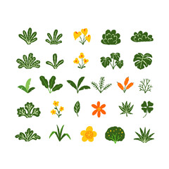 Set of tropical tree paintings, Flowers, leaves, simple and cute design.