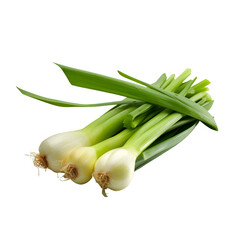 Obraz premium fresh lemongrass bundle