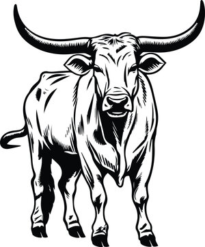 Texas Longhorn Logo Monochrome Design Style