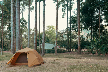 Camping picnic yellow tent campground in outdoor hiking forest. Camper while campsite in nature...