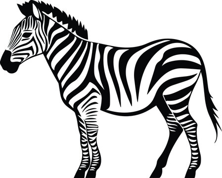 Zebra Logo Monochrome Design Style