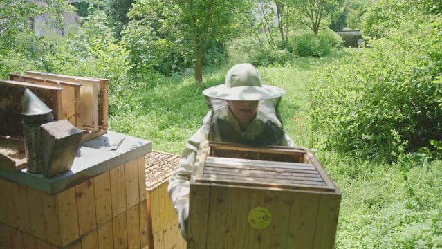 Beekeeper Moving Brood Frame Box at Apiary Bee Yard. Medium Shot