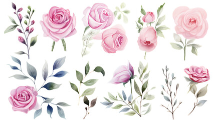 Watercolor elements pink roses, flowers, leaves, eucalyptus, branches set collection for wedding stationary, invitation card, greeting, wallpaper, fashion, isolated on transparent. generative ai