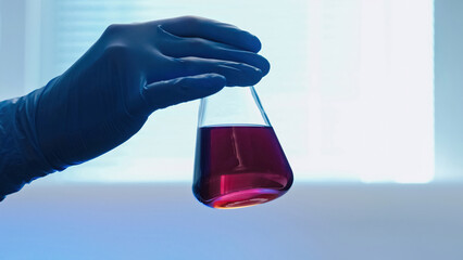 Chemical laboratory. Clinical test. Drugs trial. Technician hand in blue medical rubber glove holding glass flask with red solution mixing checking reaction.