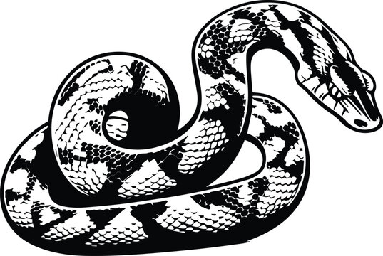 Python Snake Logo Monochrome Design Style