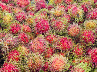 Close-up Fresh of Rambutan Thai fruit. Organic Rambutan pile from local agriculture farm. The pile of Rambutan at the market in Thailand. Rambutan background.